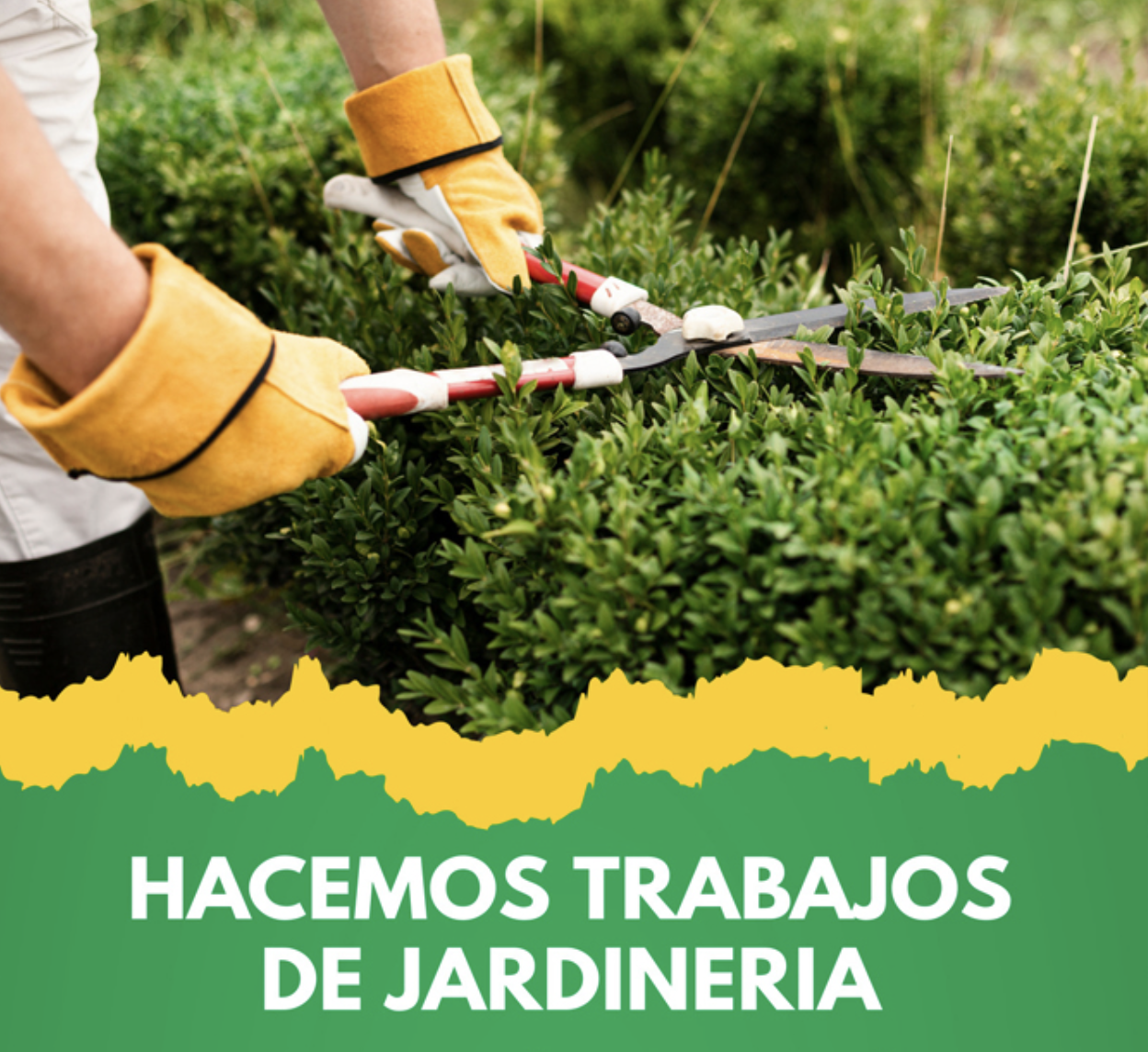 servicio de jardineria